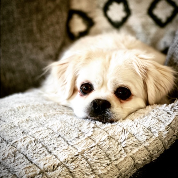 Nice to meet you! 😊🌻 - Picture 4 of 6